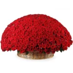 1001 алая роза в корзине