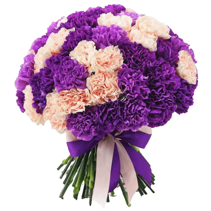 Гвоздики яркий микс